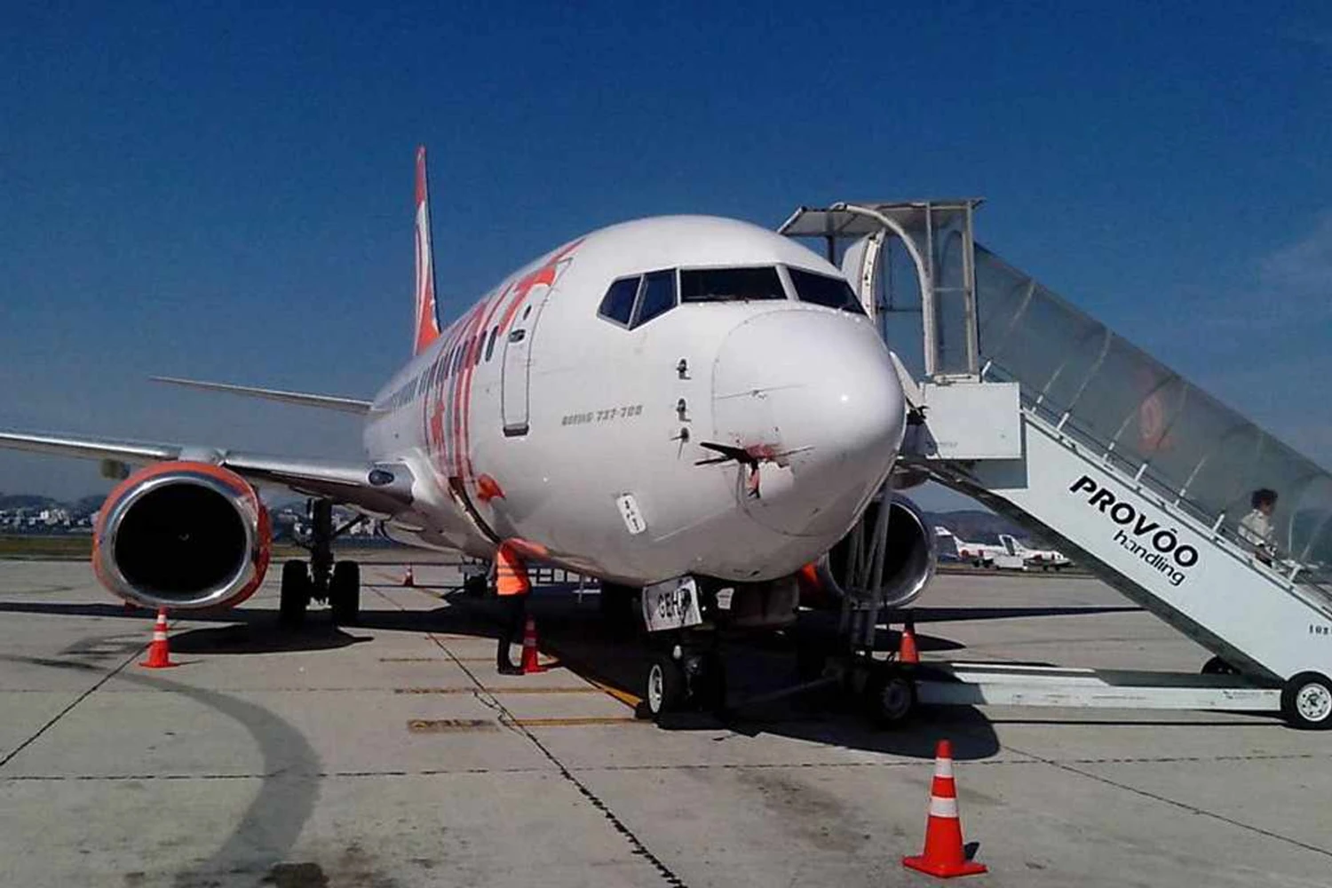 "Bird strike" in 2015