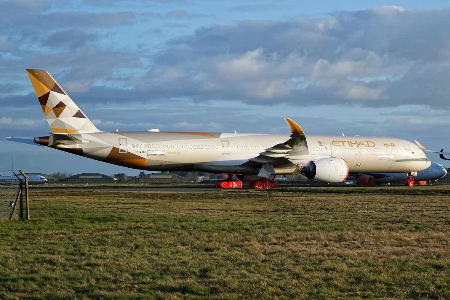 Etiahd A350-1000 (Dylan Agbagni/CC)