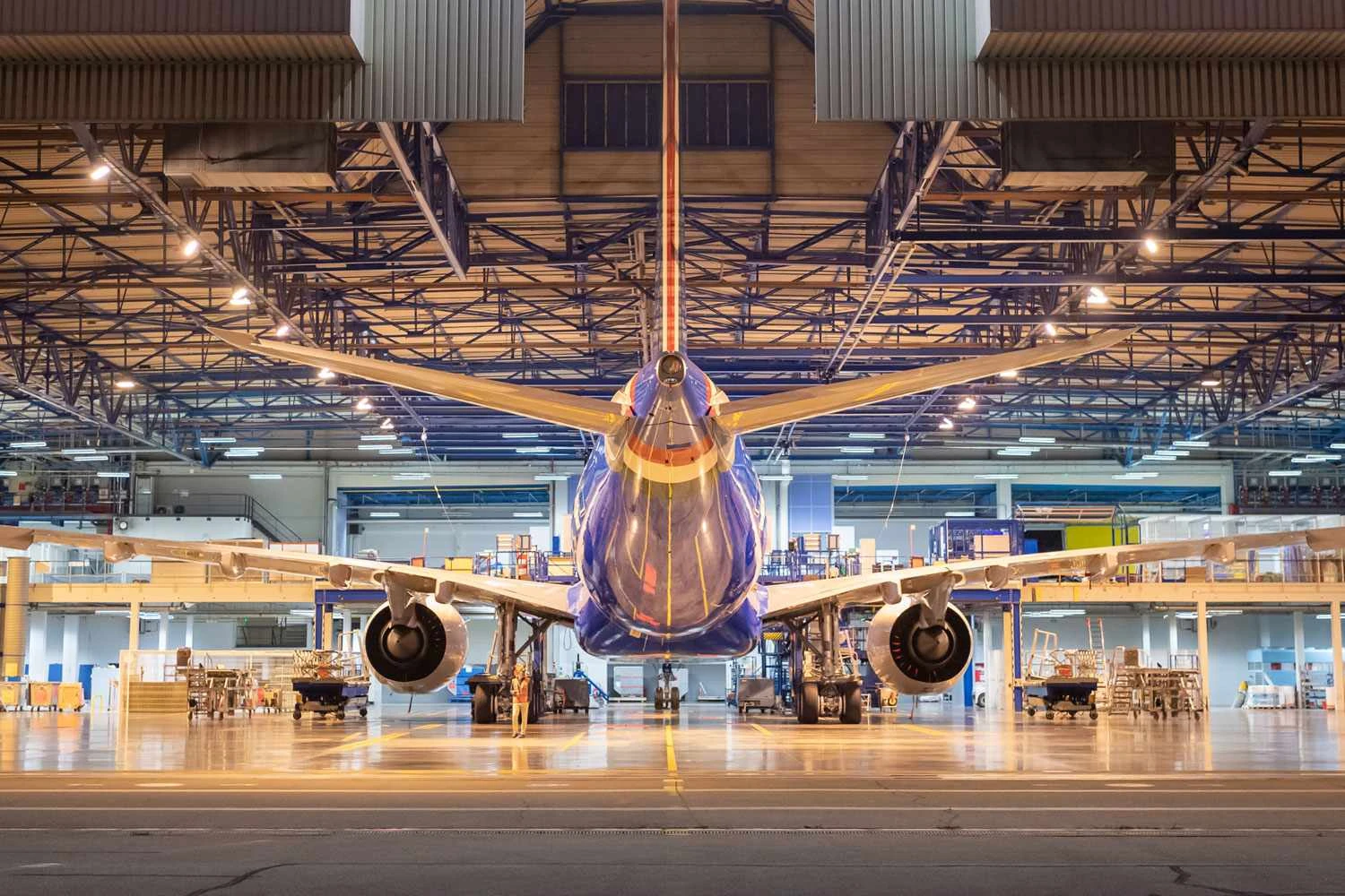 A330neo tail