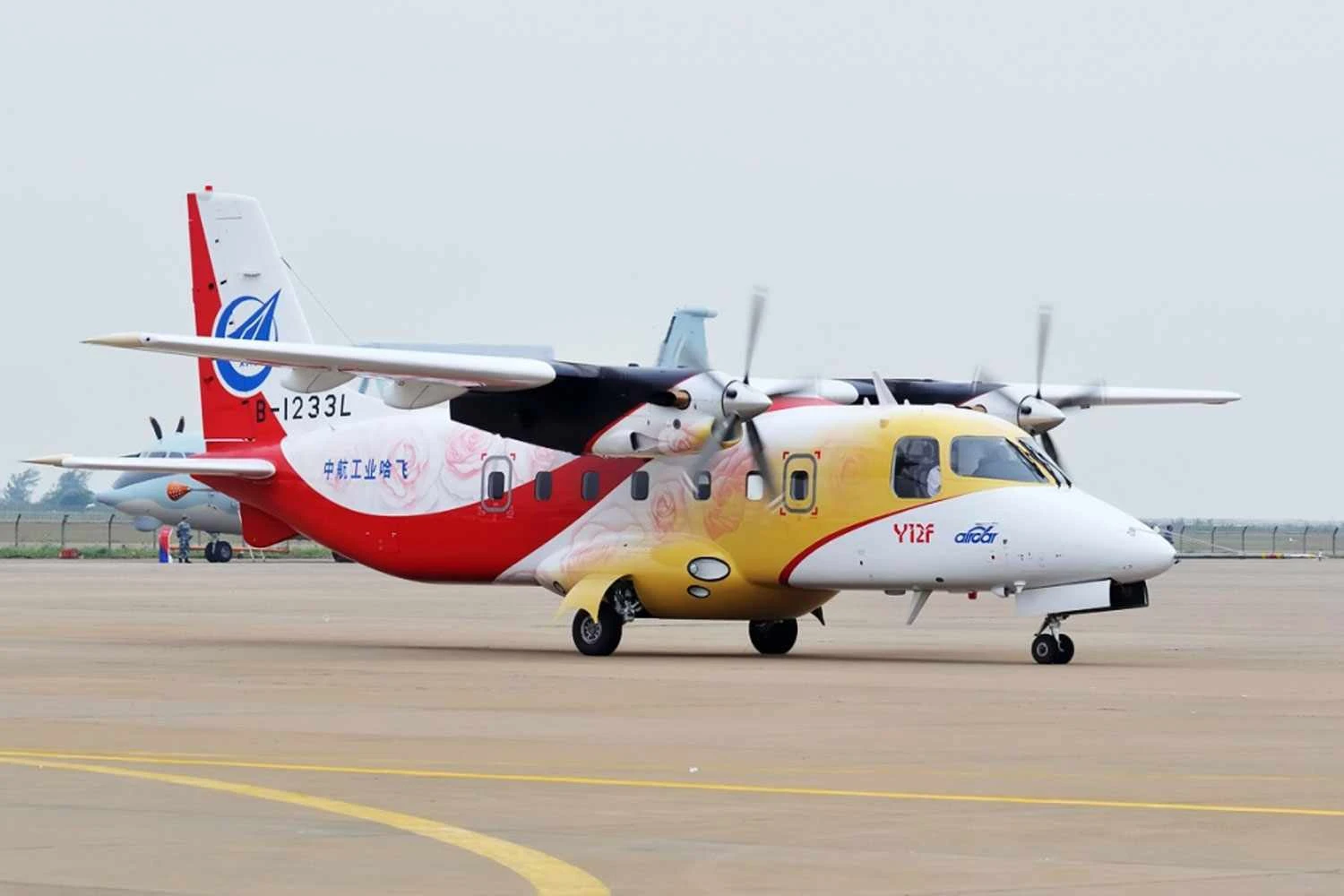 The aircraft was certified to carry 19 passenger or 3,000 kg of cargo (Flavic)