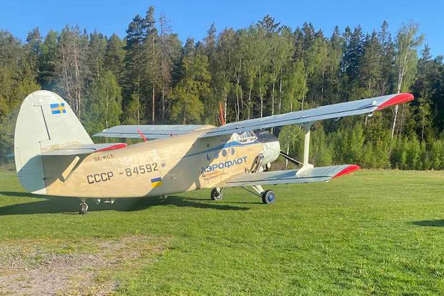 Video: Old Antonov An-2 plane crashes into trees after taking off from field in Sweden