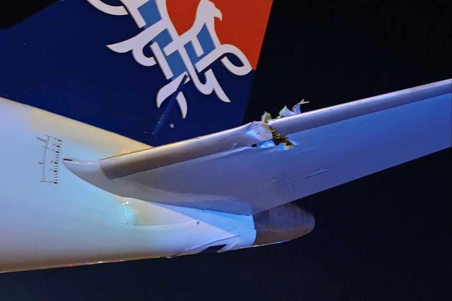 Damage on the horizontal stabilizer (Social media)