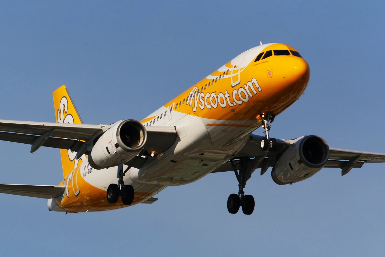 Scoot Airbus A320neo | 湯小沅