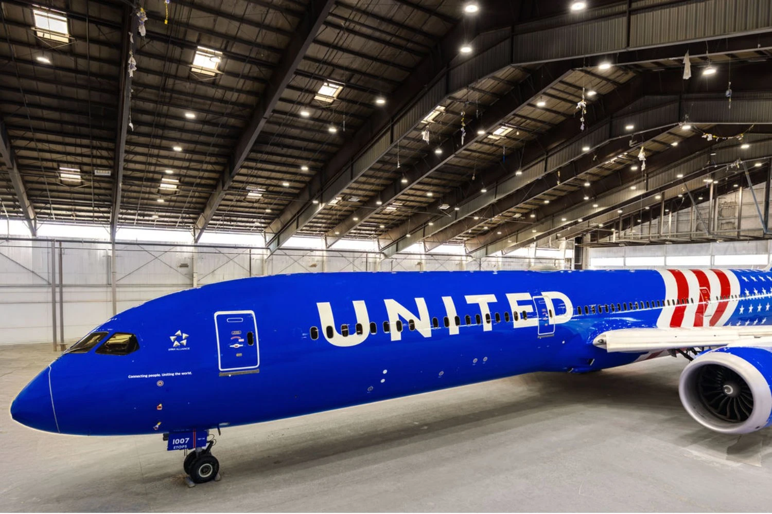 Boeing 787 with the special livery