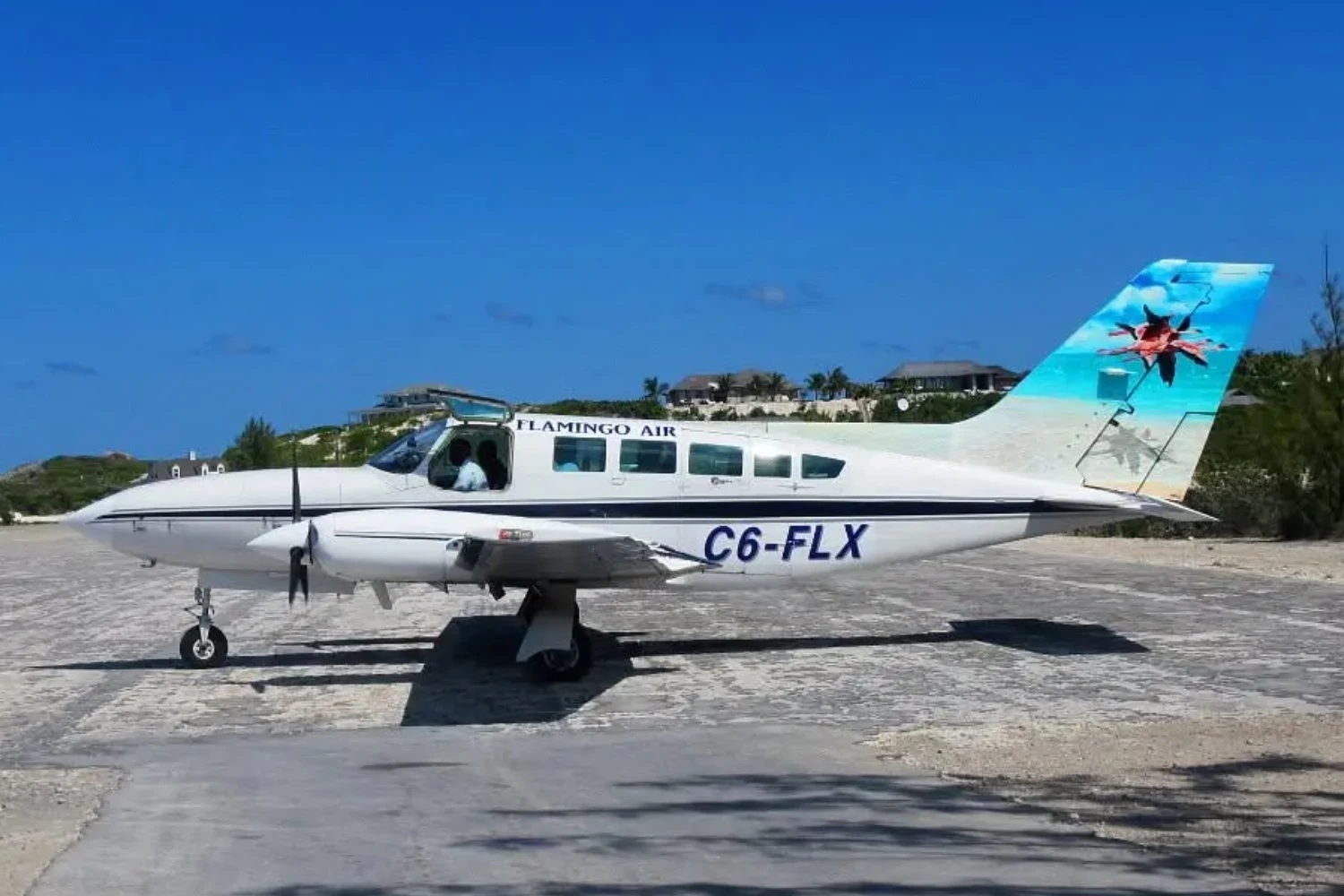 Cessna 402 C6-FLX registration | SOCIAL MEDIA