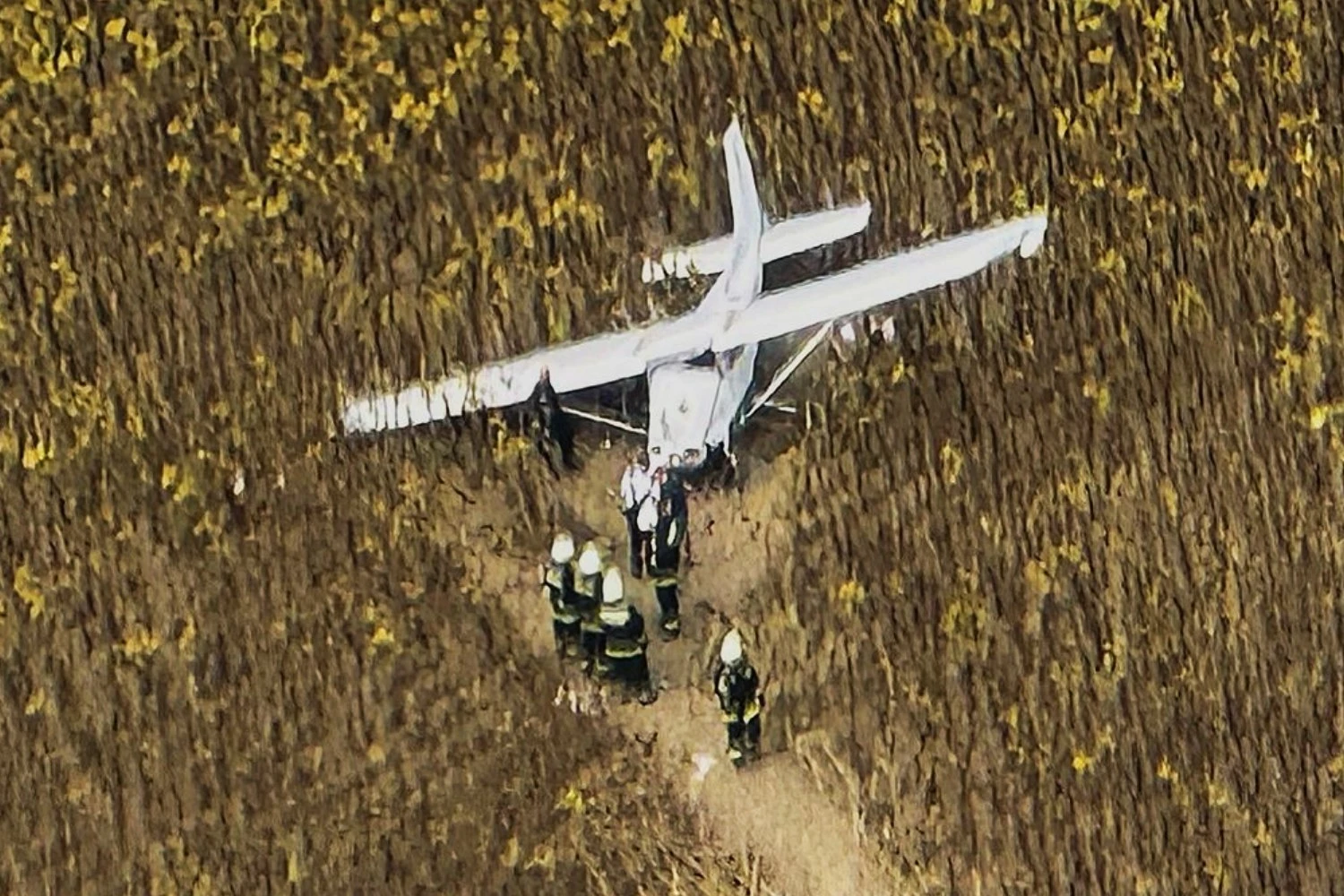 The Cessna 172 made a forced landing near Gerjen, a village close to Paks
